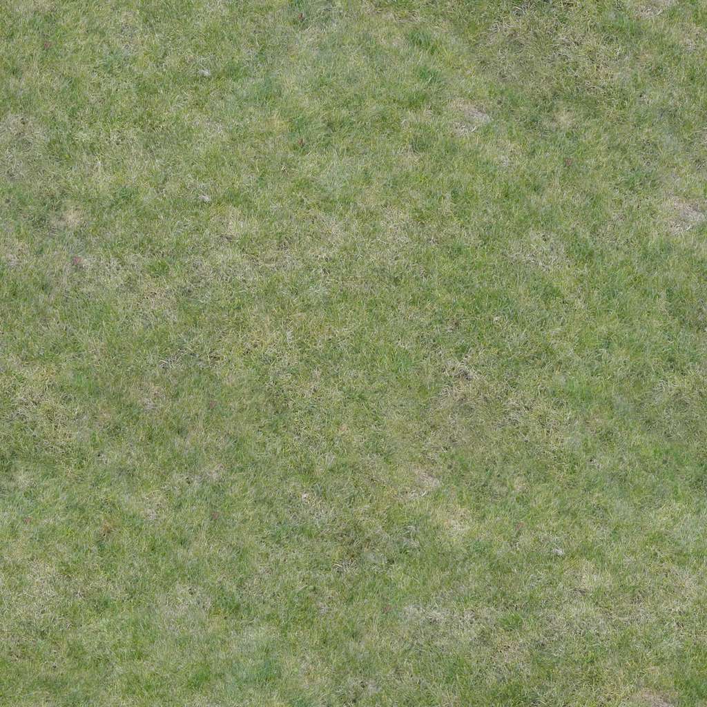 Grass_B_Diff.jpg