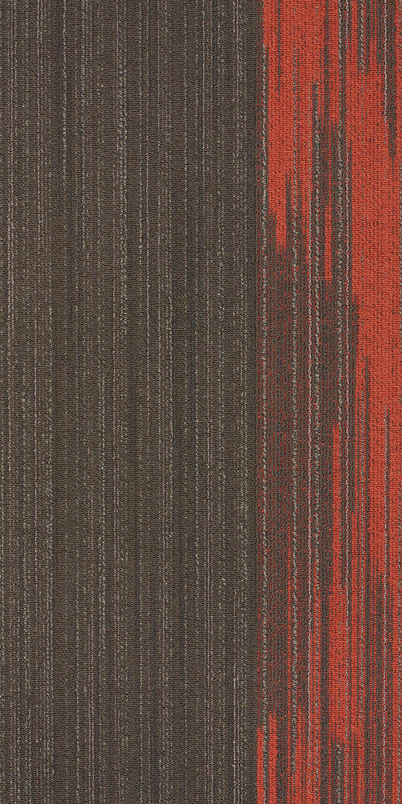 59114_67753_MAIN.jpg