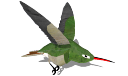 hummer.skp