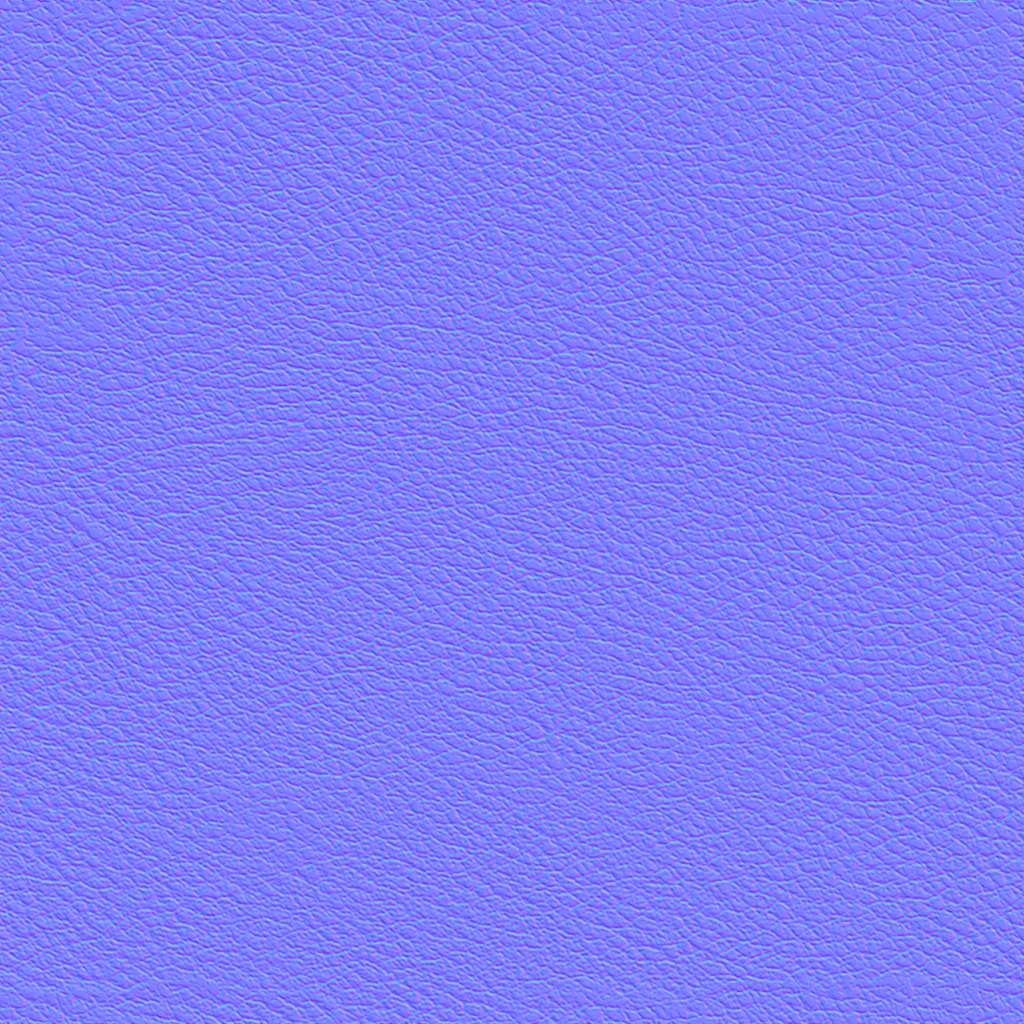Leather_L_NM.jpg