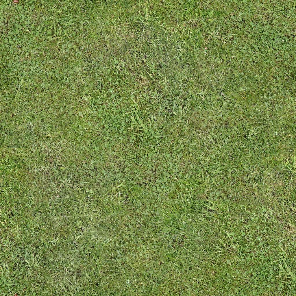 Grass_C_Diff.jpg
