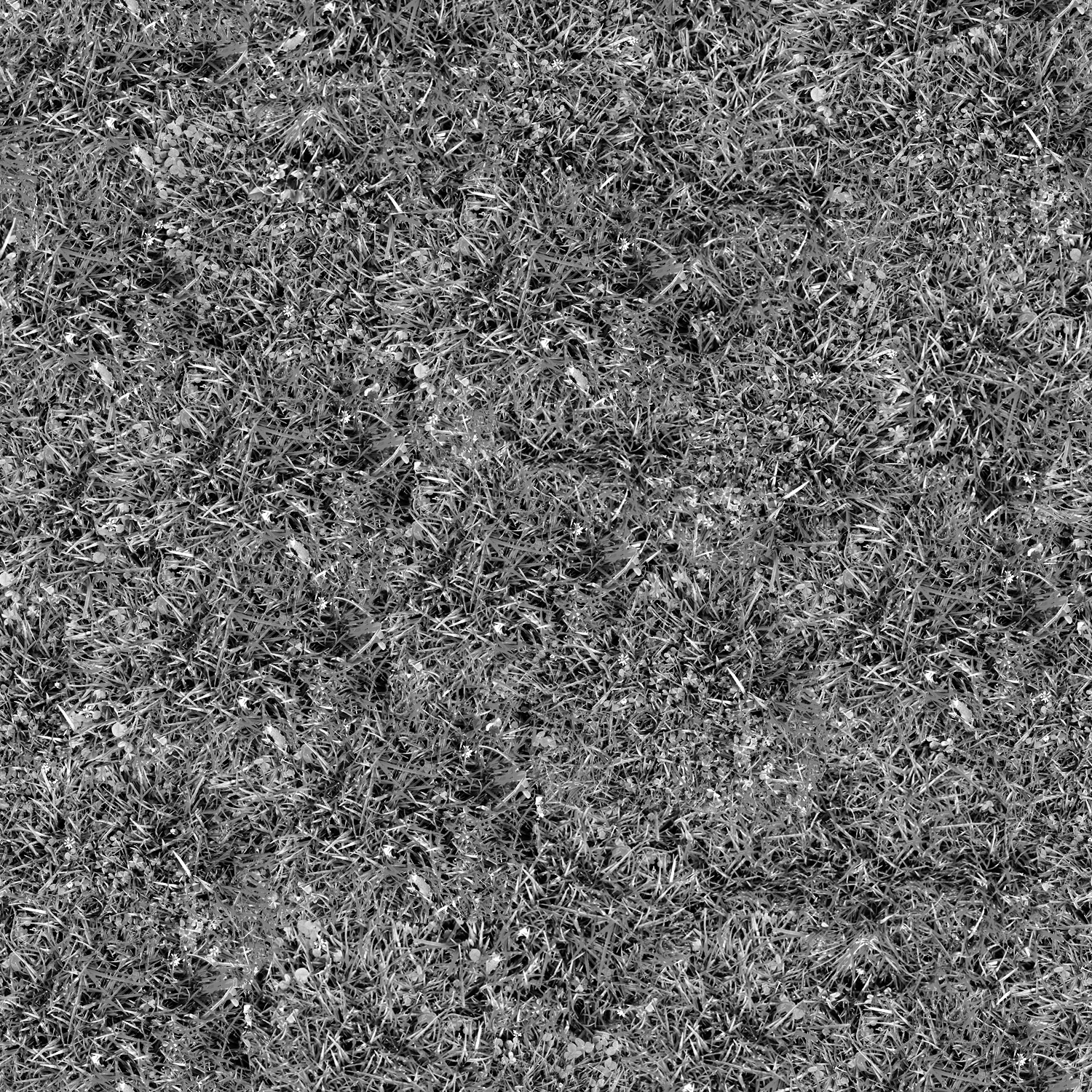 Grass_05_D.jpg