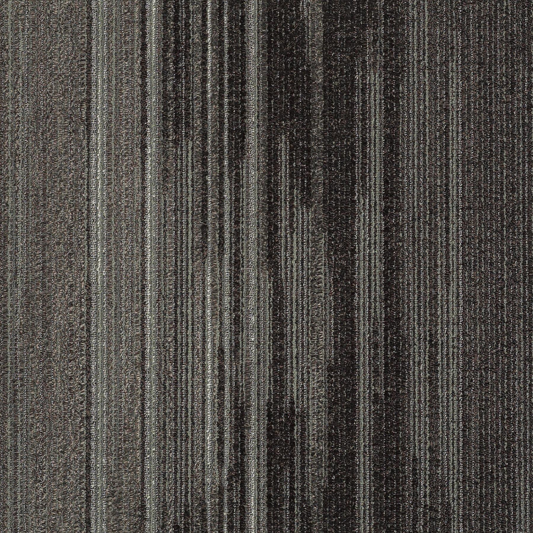 59339_39505_MAIN.jpg