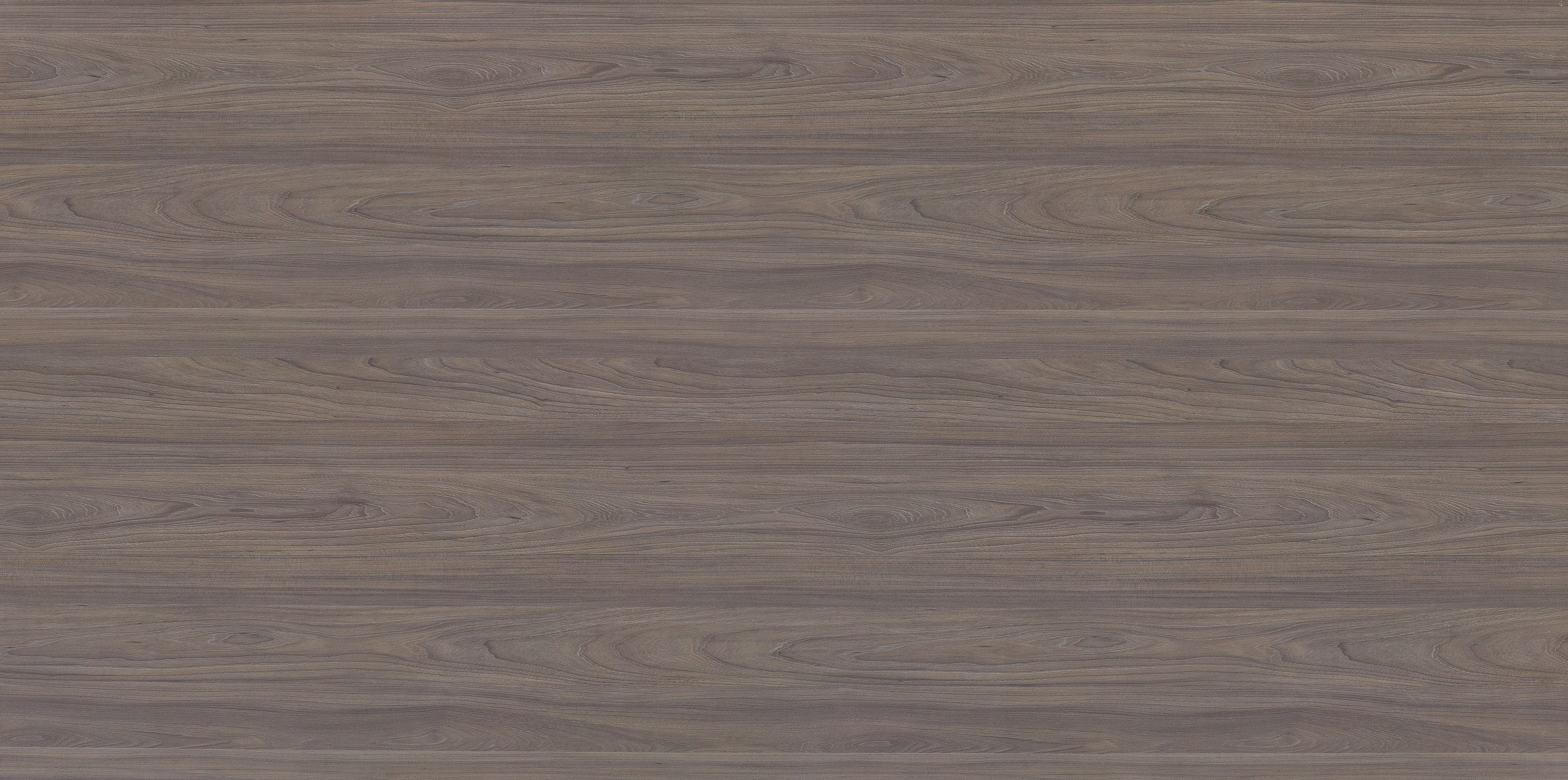 MS 23029 - 1.220x2.440.jpg