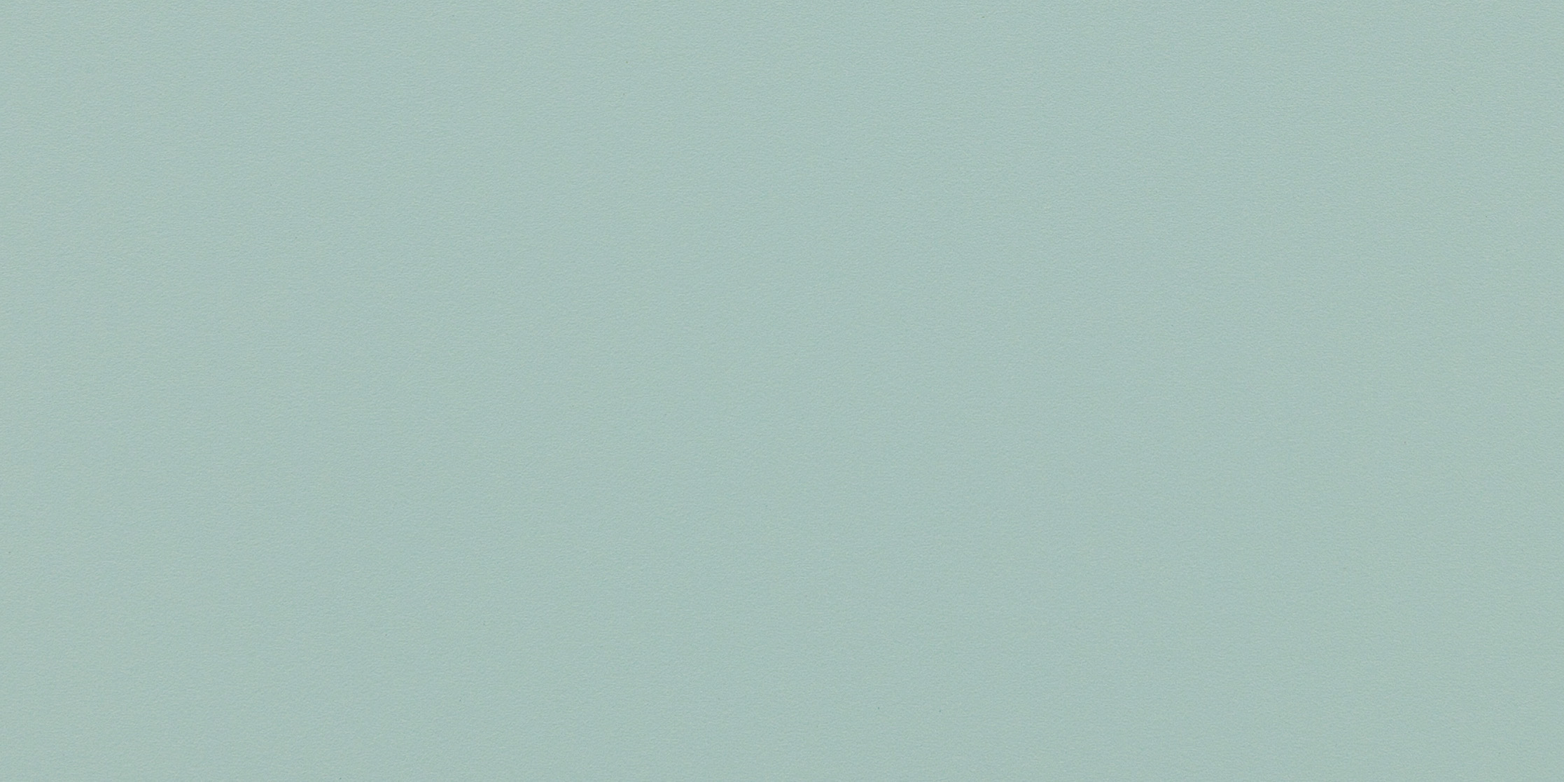 MS 071 T.jpg