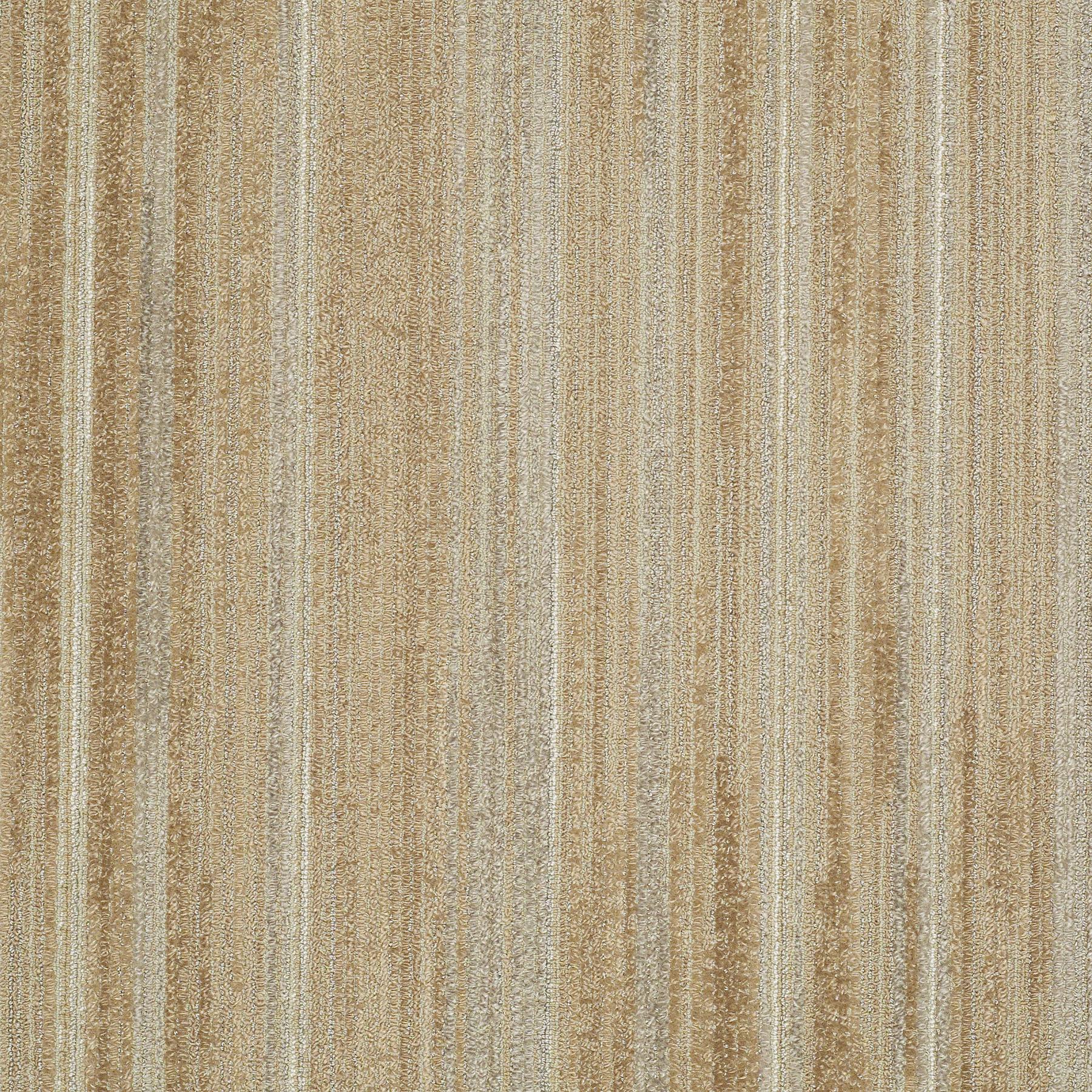 59339_39109_MAIN.jpg