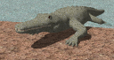 cocodrile.skp