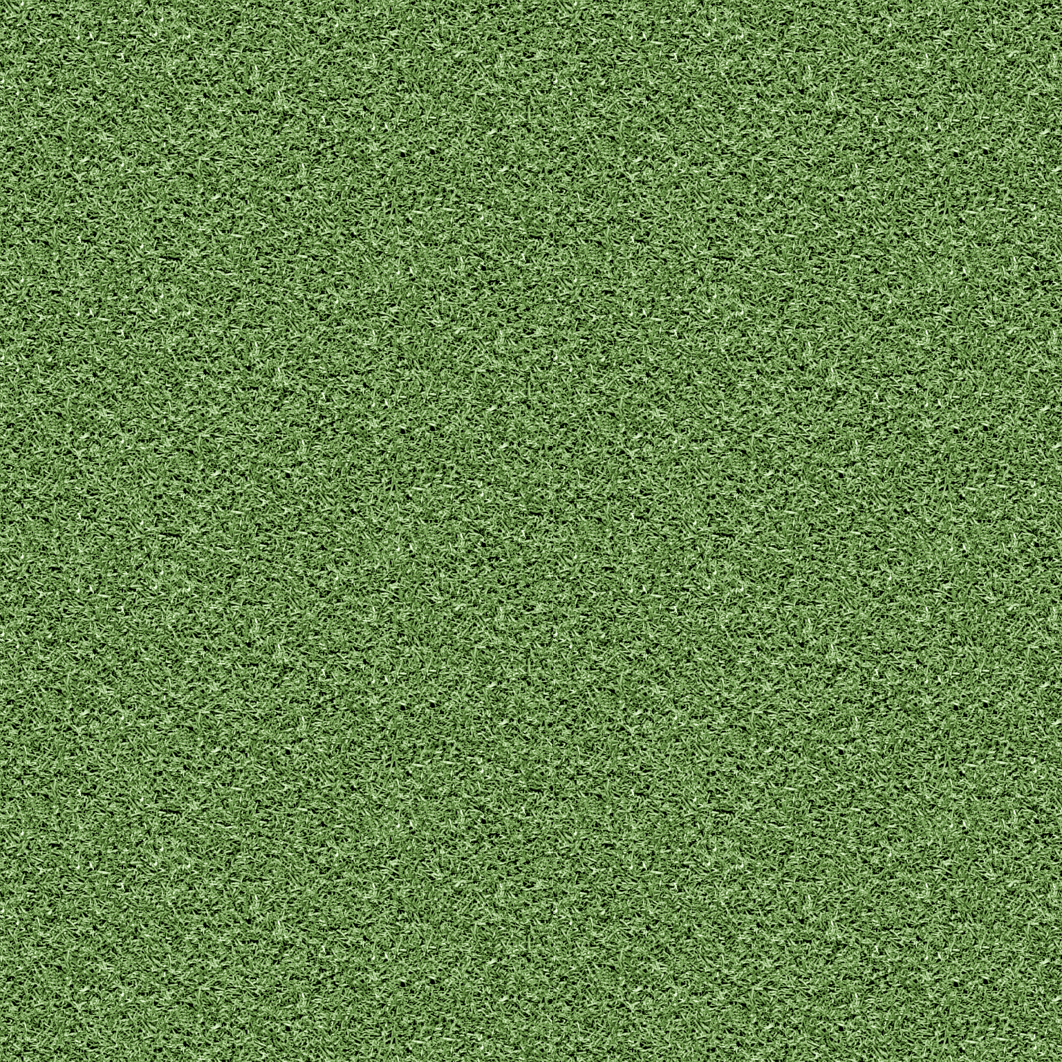 Grass_02.jpg