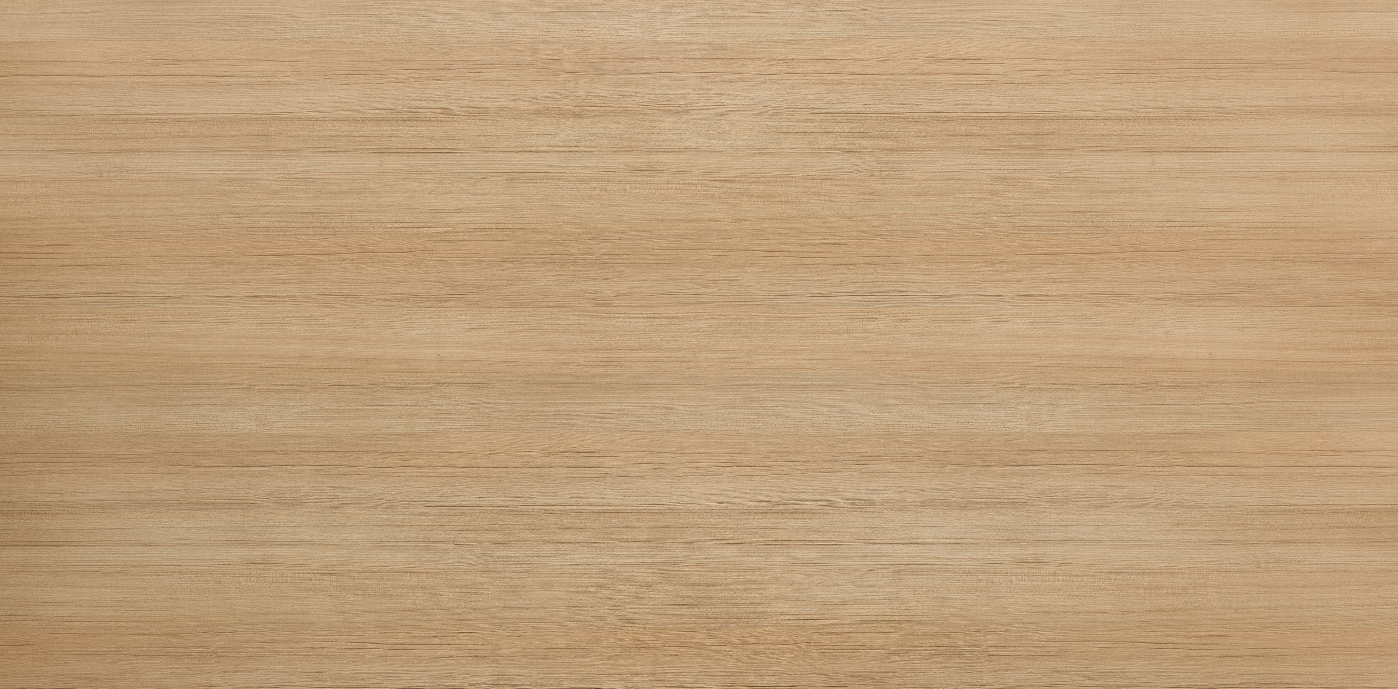 LK 3102 D.jpg