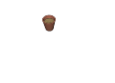 pot_17.skp