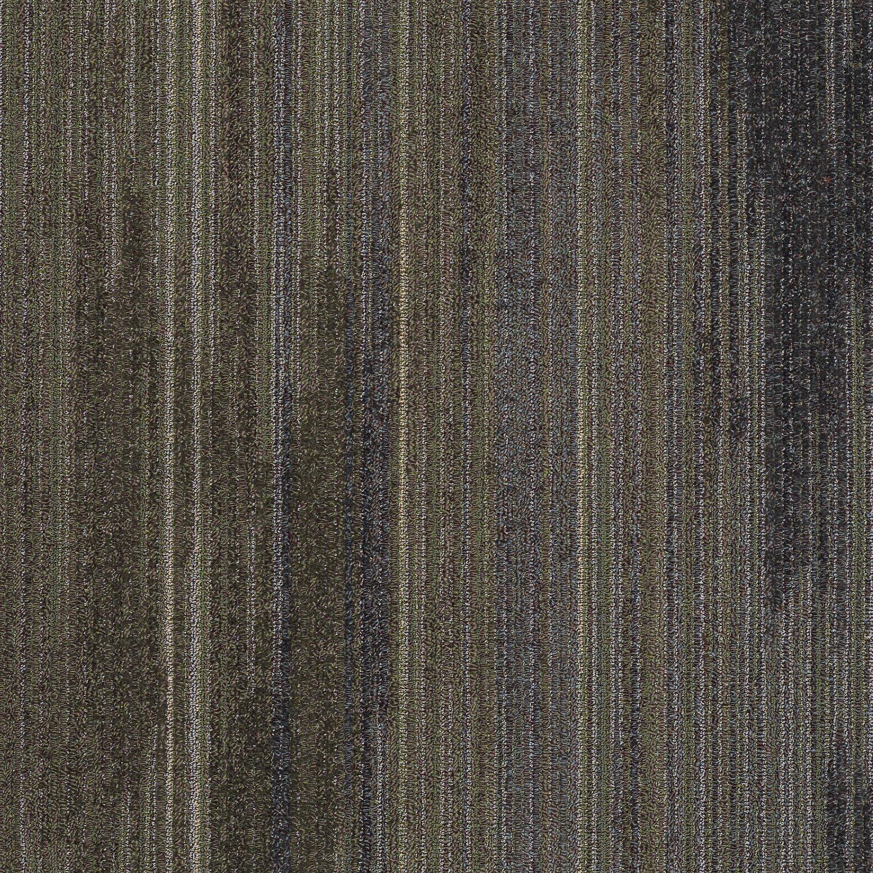 59339_39322_MAIN.jpg