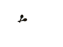 Maracas.skp