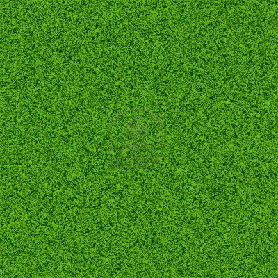 Grass_10.jpg