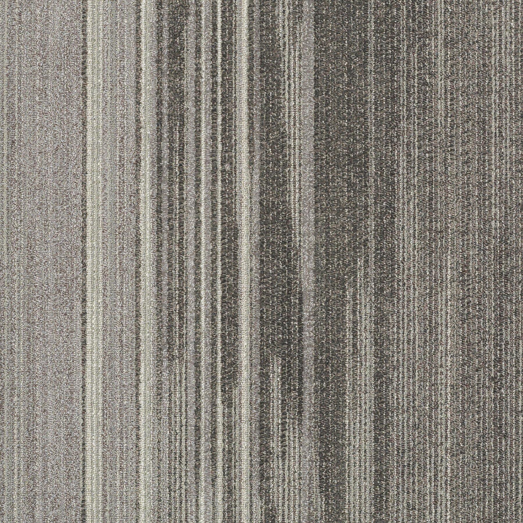 59339_39504_MAIN.jpg