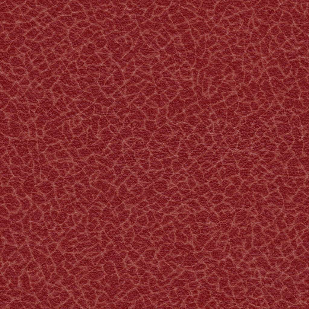 Leather_J_Diff_01.jpg