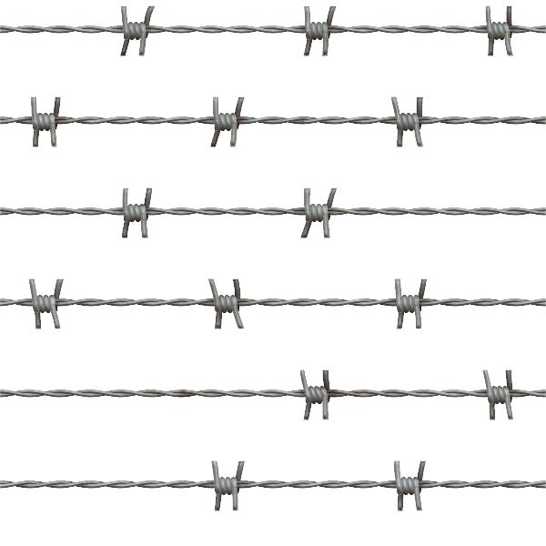 barb_wire_d.jpg