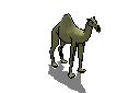 camel_2.skp