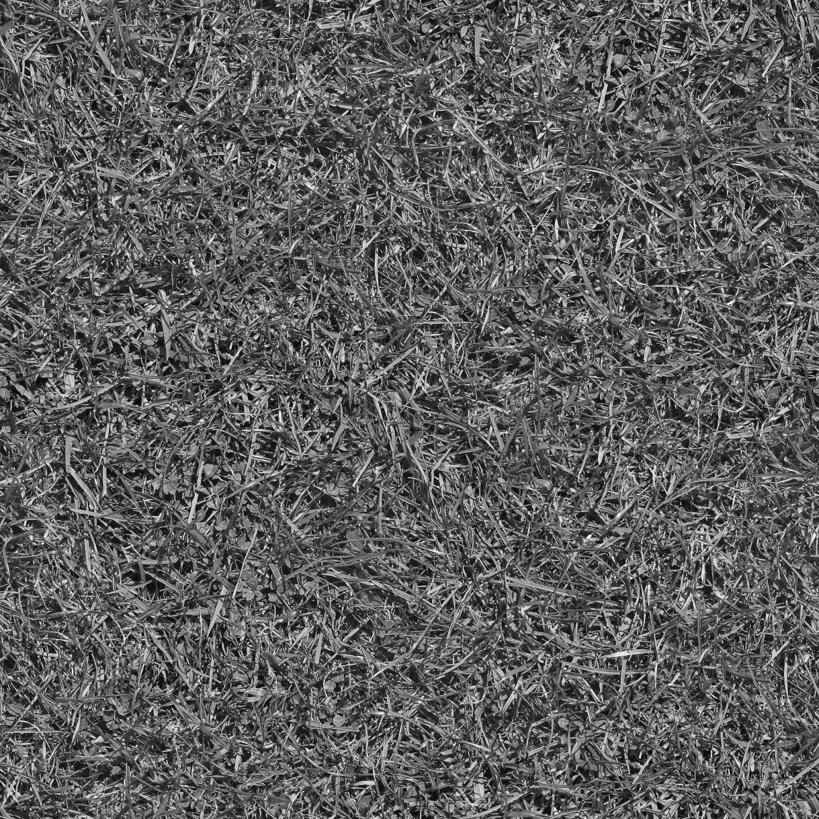 Grass_11_D.jpg