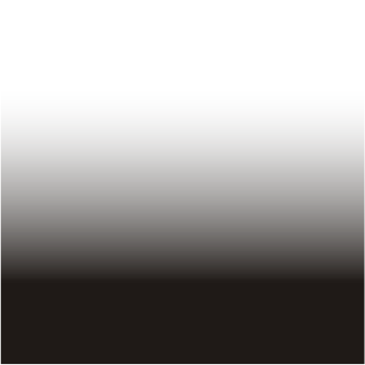 Transparent Map 02.png