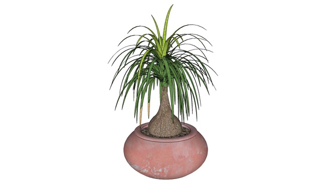 CAY DECOR - 129.jpg