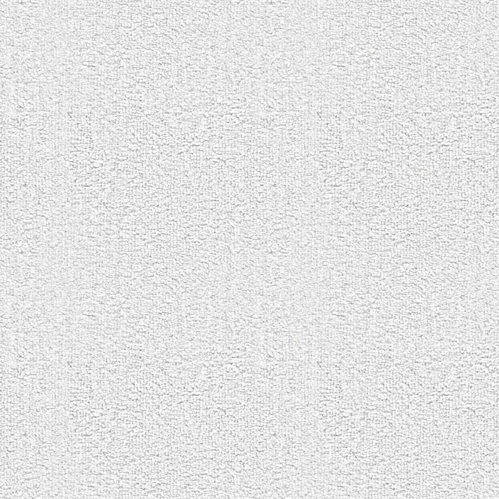 Carpet_B_Mult.jpg