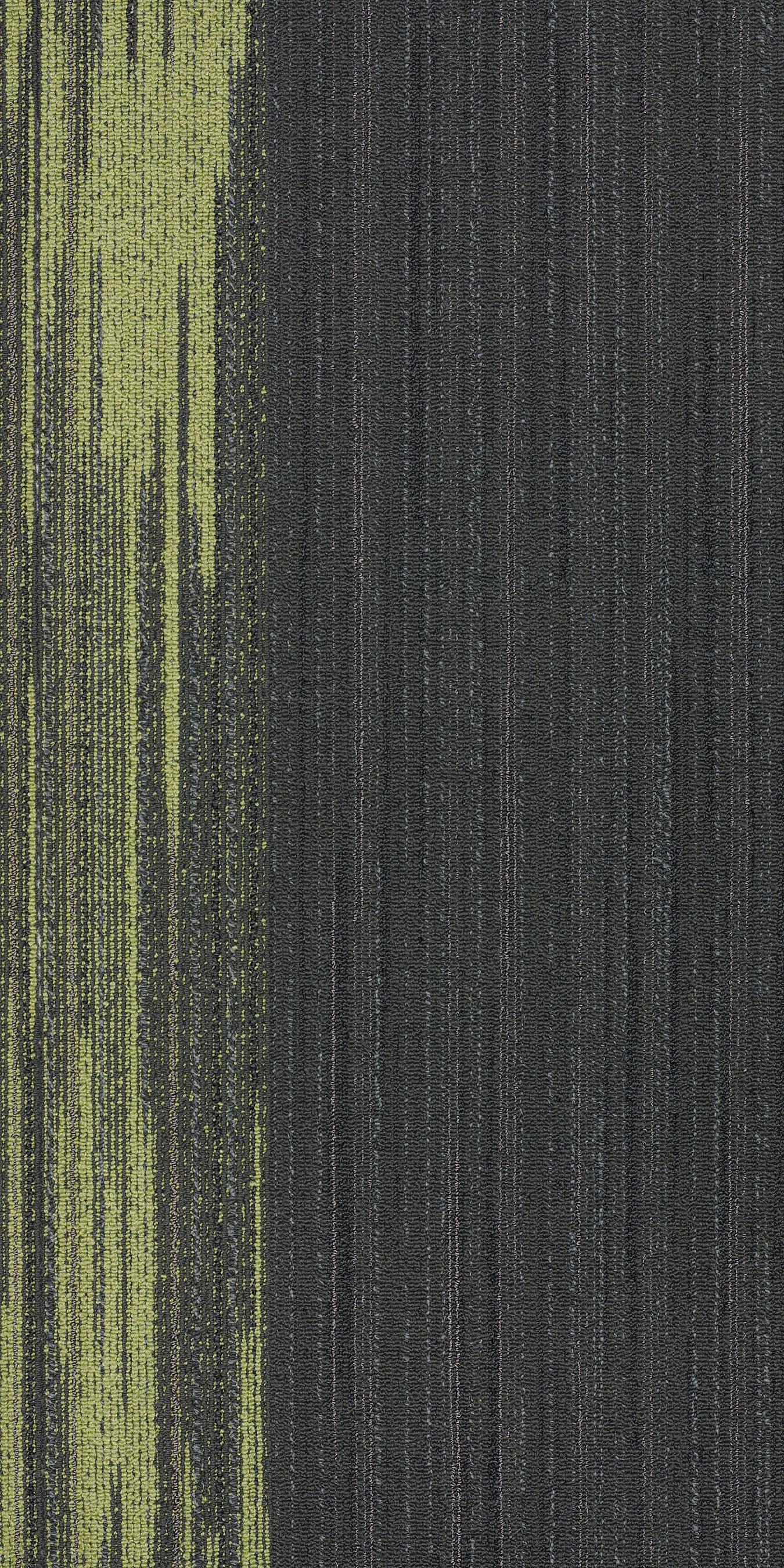 59114_67586_MAIN.jpg