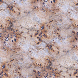 Marble_Tile_30.jpg