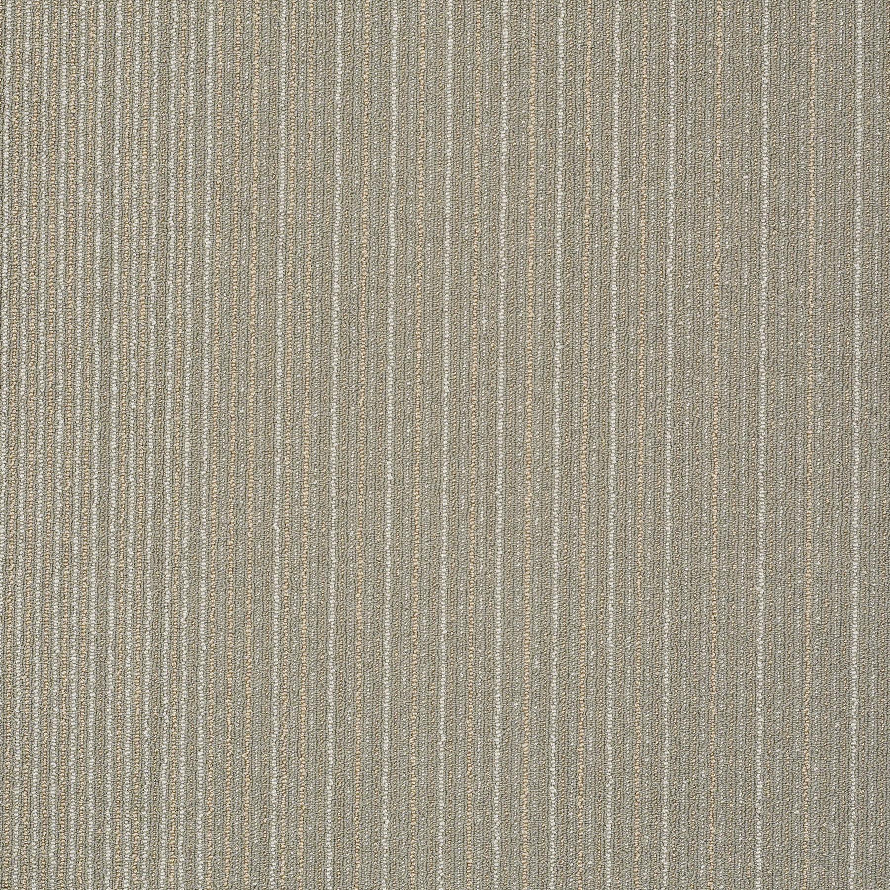 59331_30155_MAIN.jpg