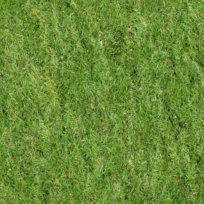 Grass_01.jpg