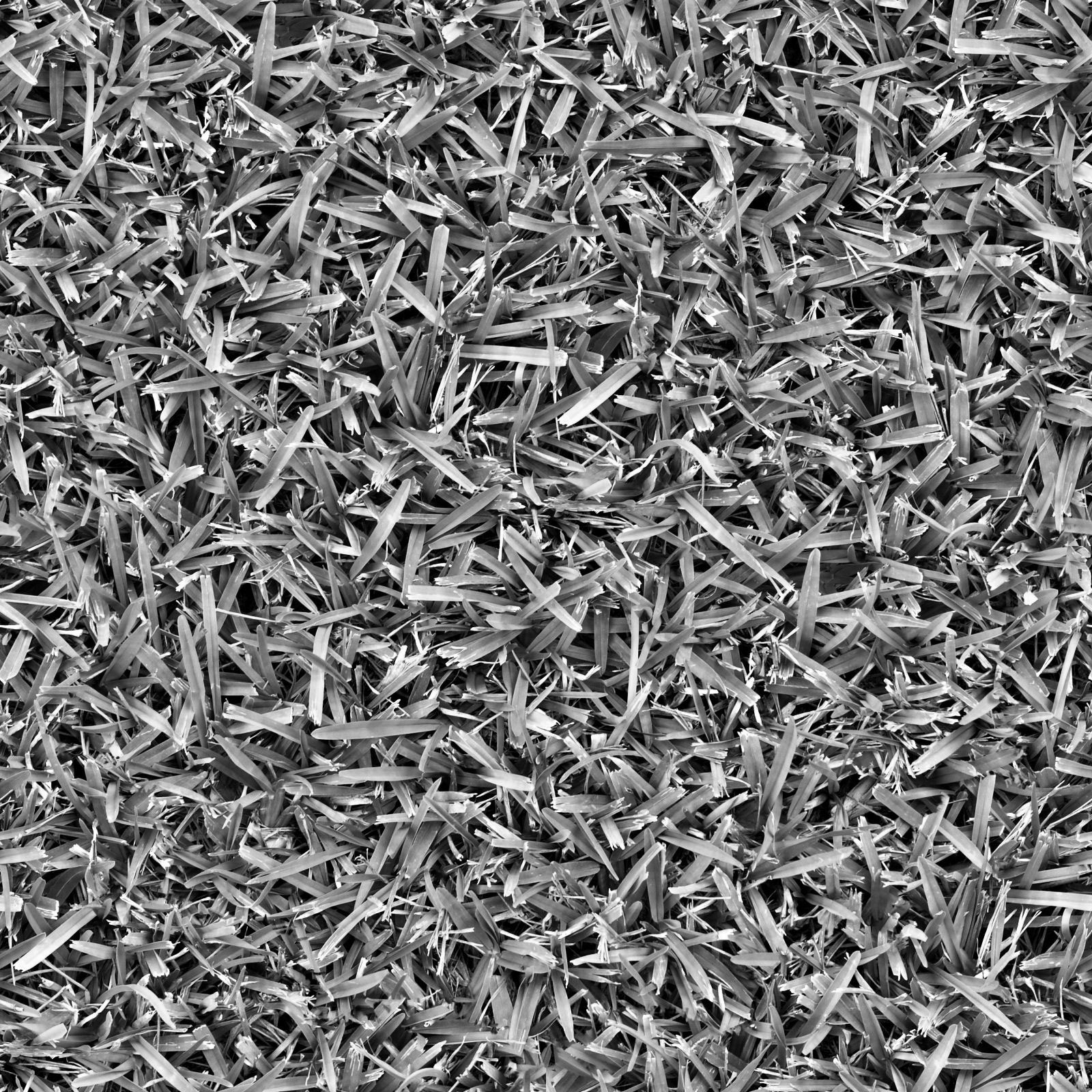 Grass_12_D.jpg