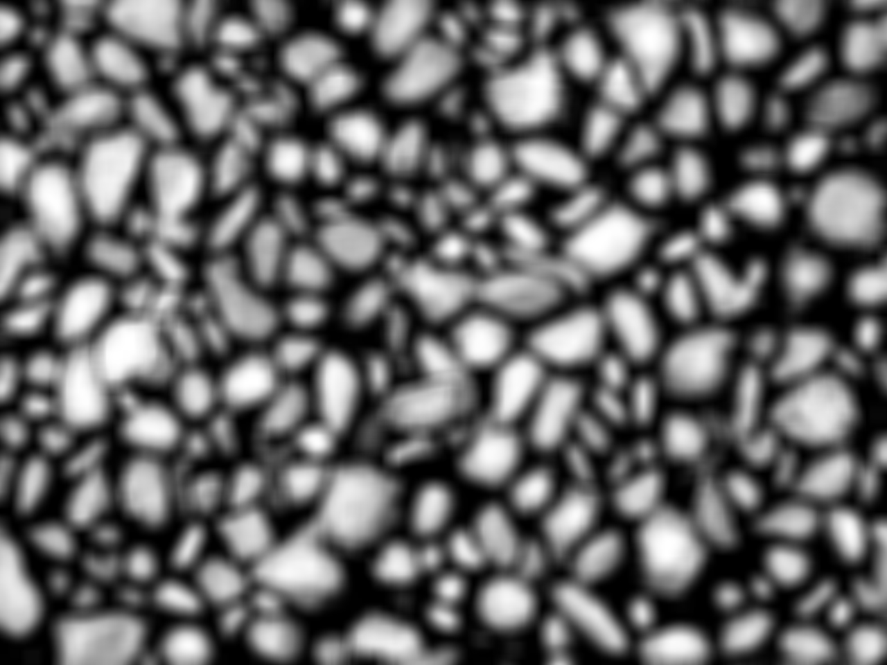 CLEAN LIMESTONEdisp1.jpg