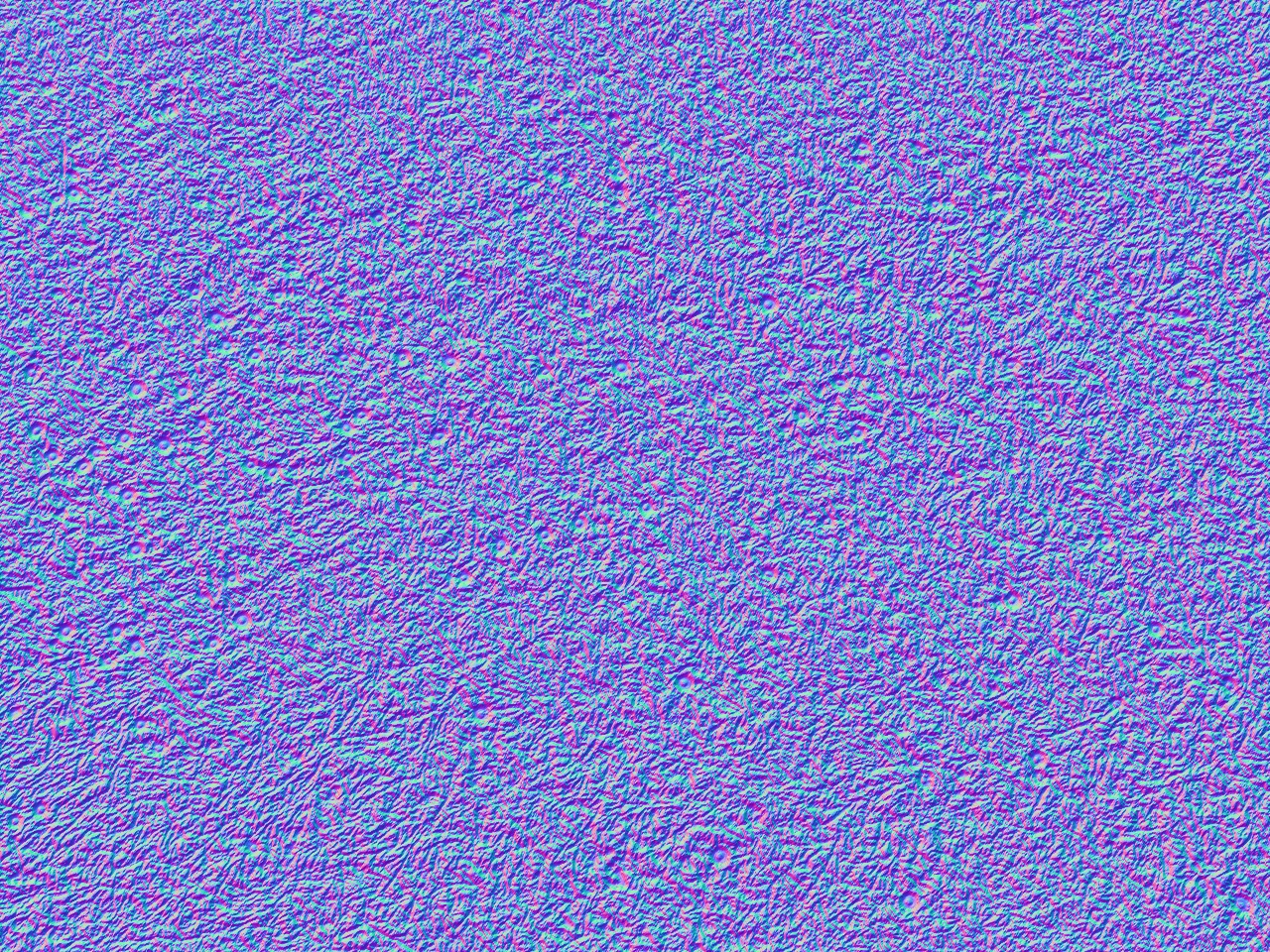 g_NORMAL.jpg