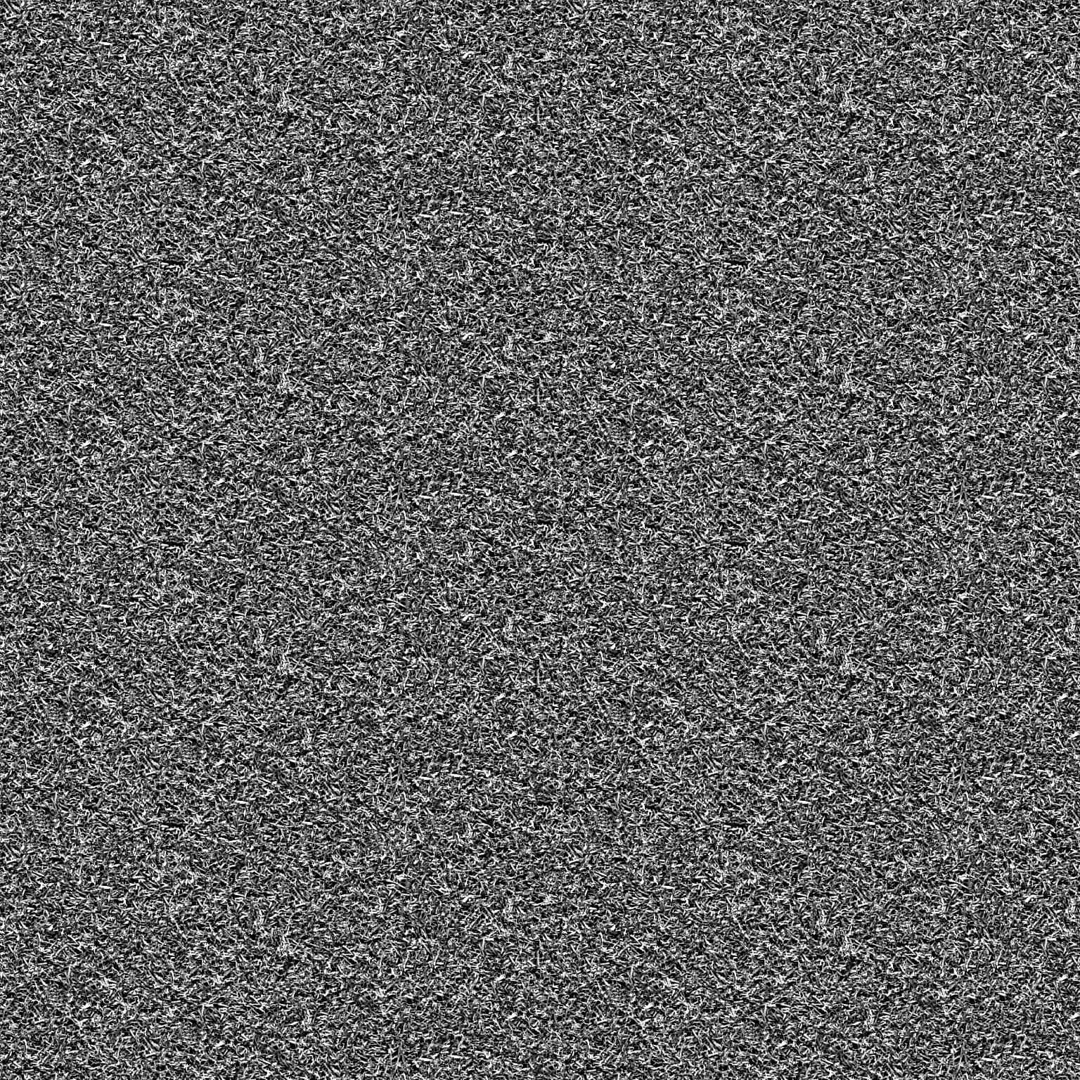 Grass_02_D.jpg