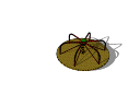 Merry-go-round.skp