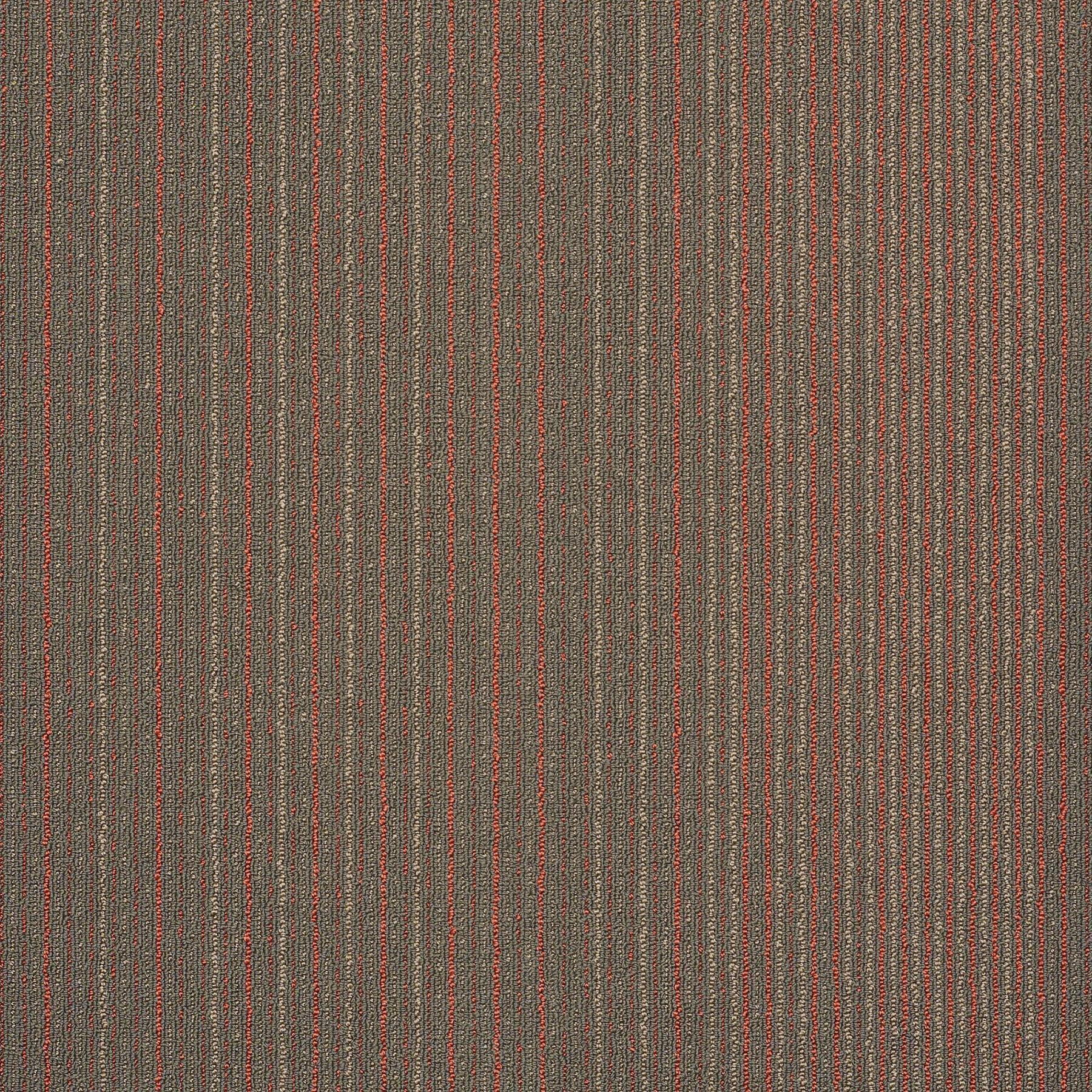 59331_30762_MAIN.jpg