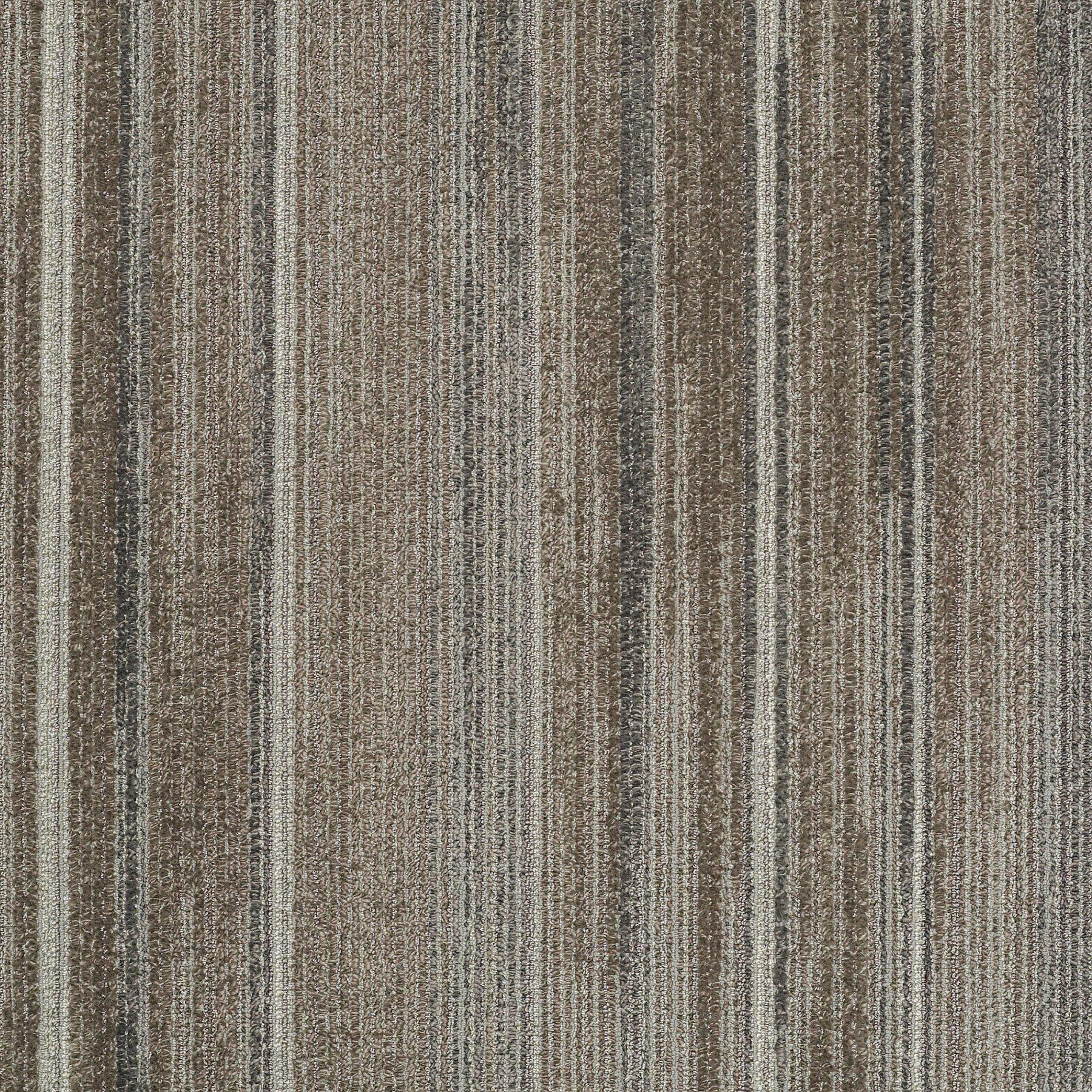 59339_39761_MAIN.jpg