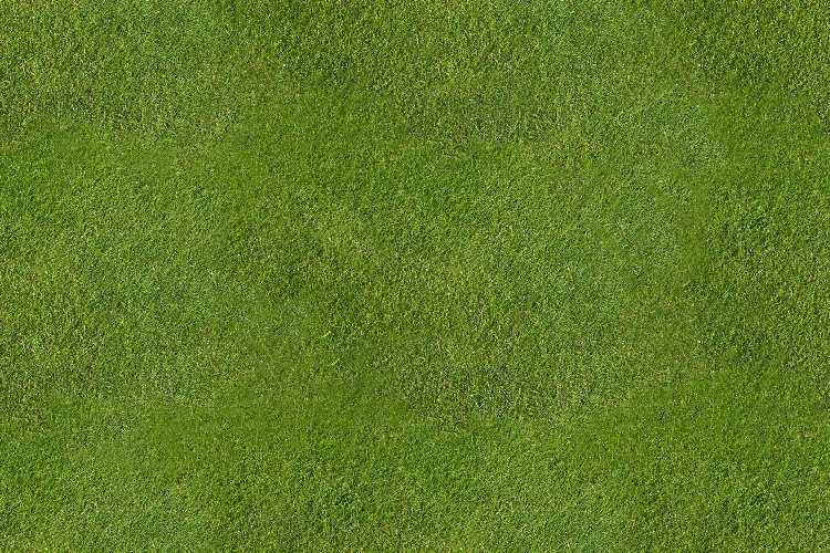 Grass_06.jpg