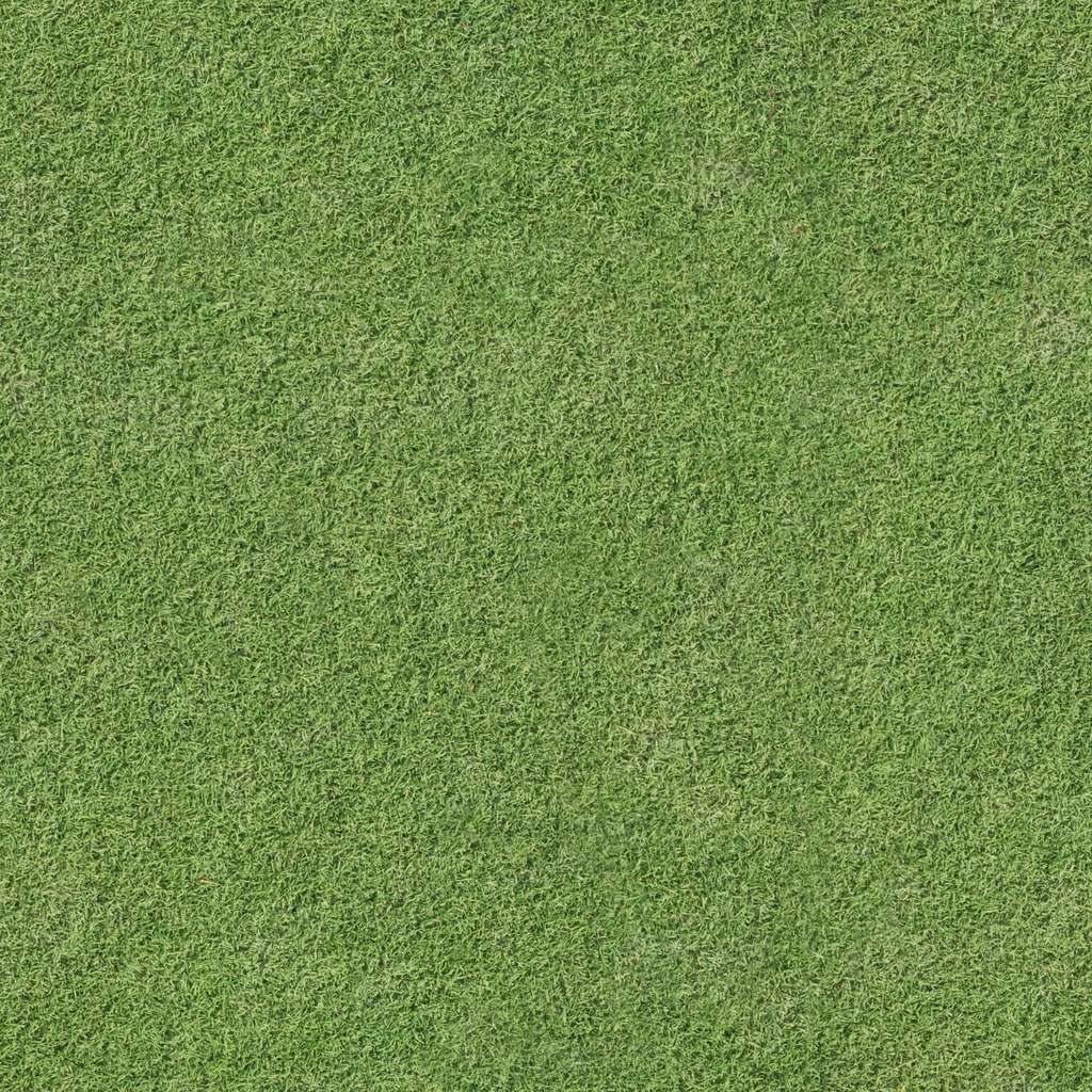 Grass_D_Diff.jpg