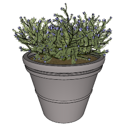 Tournesol_Basix_planter_BS_3600.skp