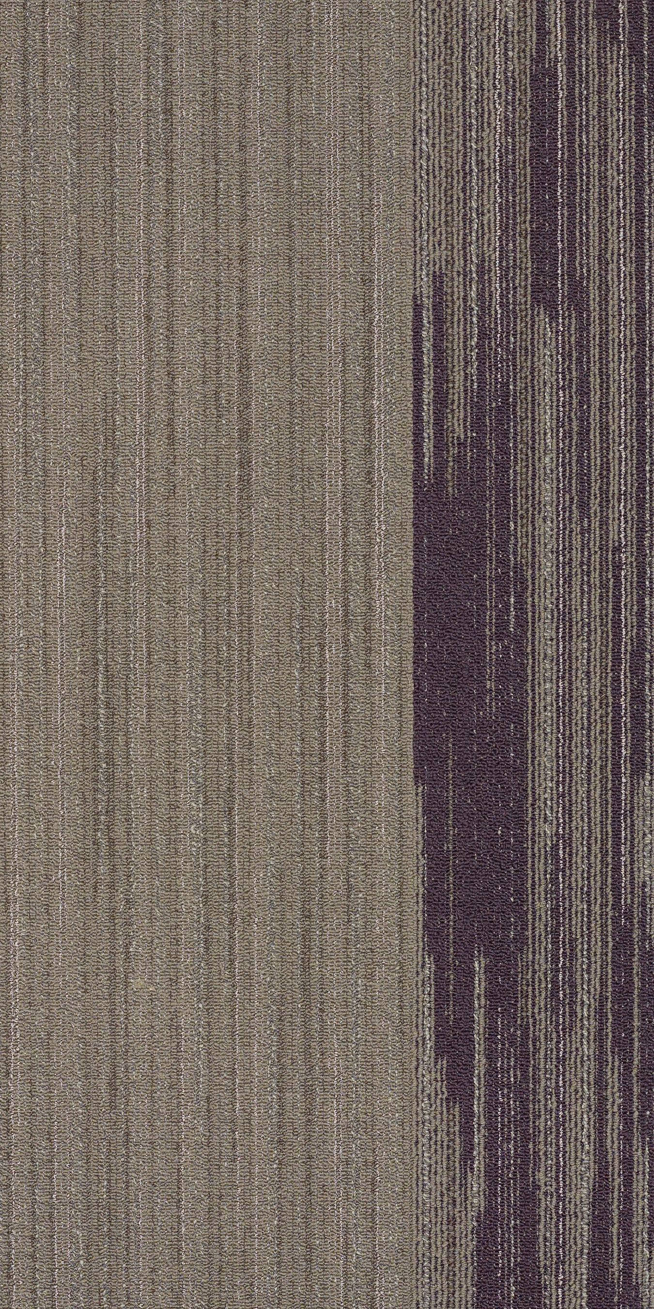 59114_67762_MAIN.jpg