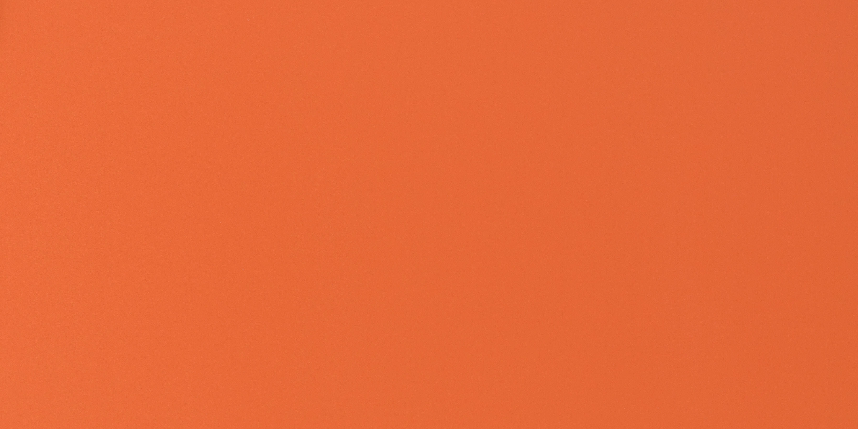MS 043 T.jpg