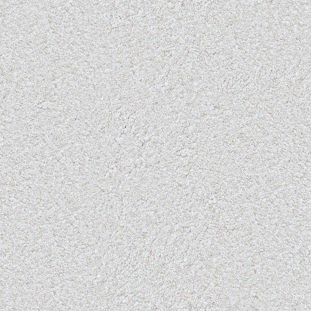 Carpet_D_Mult.jpg