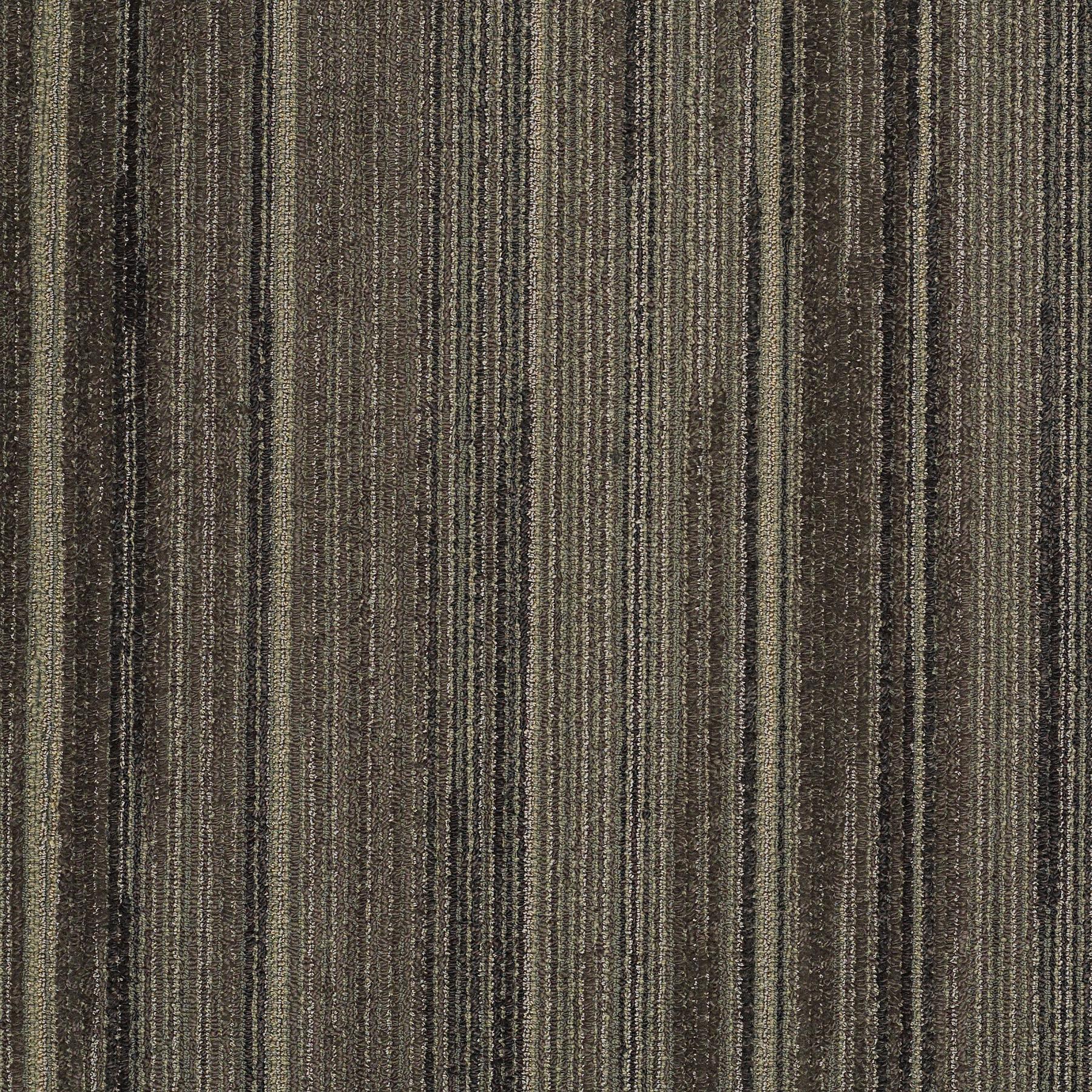 59339_39750_MAIN.jpg