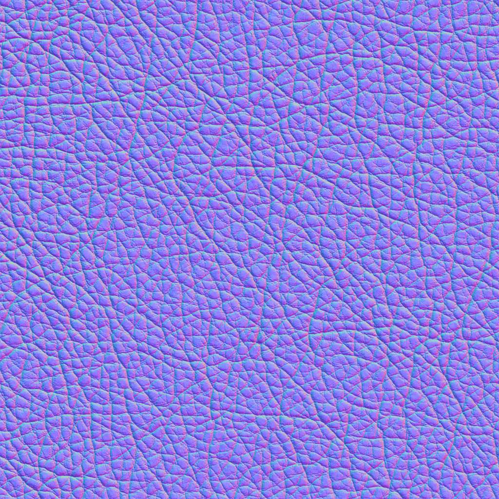 Leather_C_NM.jpg