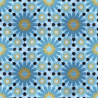V20-029 (3009, 4000, 4021, 2000, 7000) - 16v - Copy.jpg