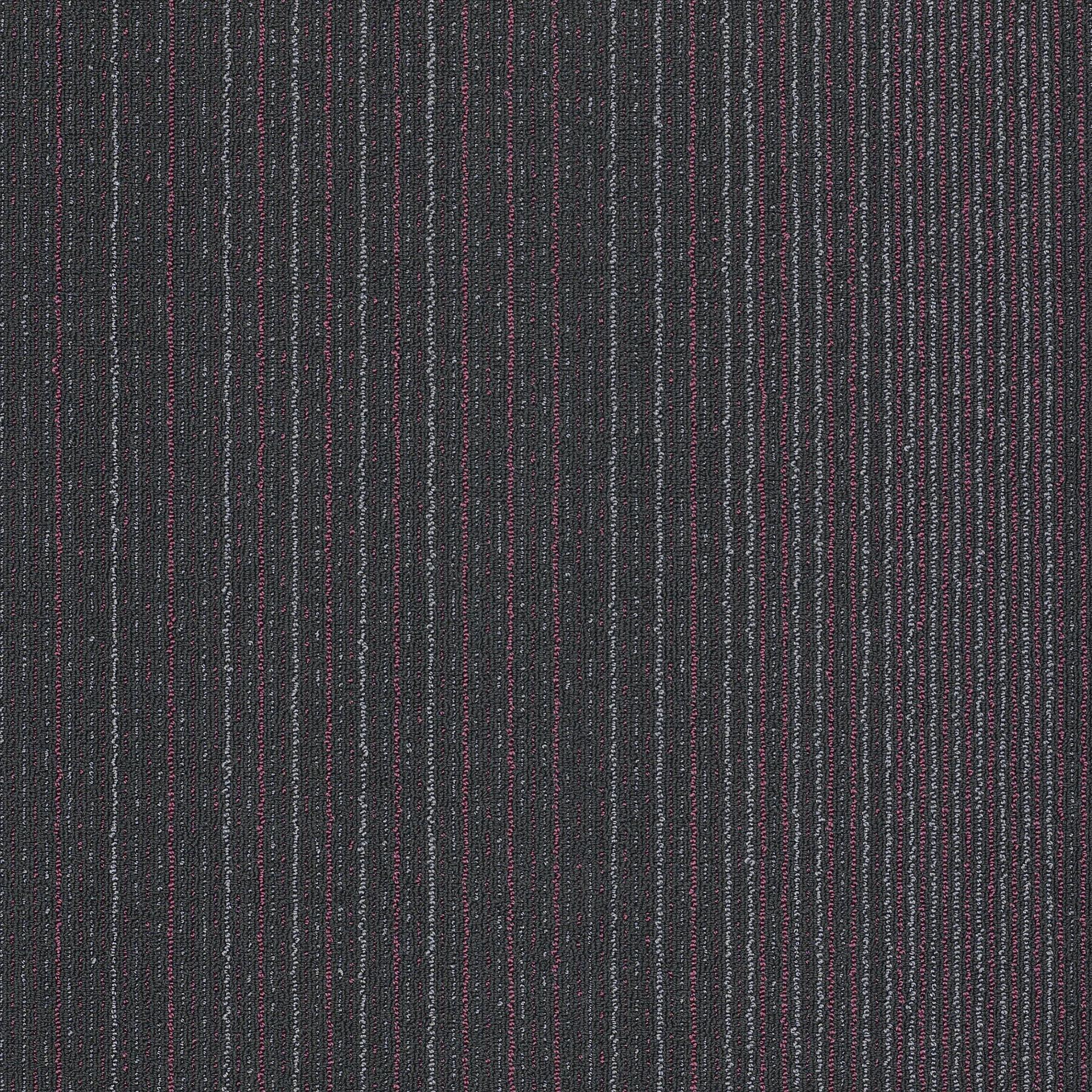 59331_30550_MAIN.jpg