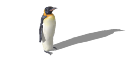 penguin.skp
