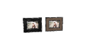Frames_leather.skp