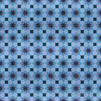 V20-028 (E100, 4029, 4014, s2.4) - 16v - Copy.jpg