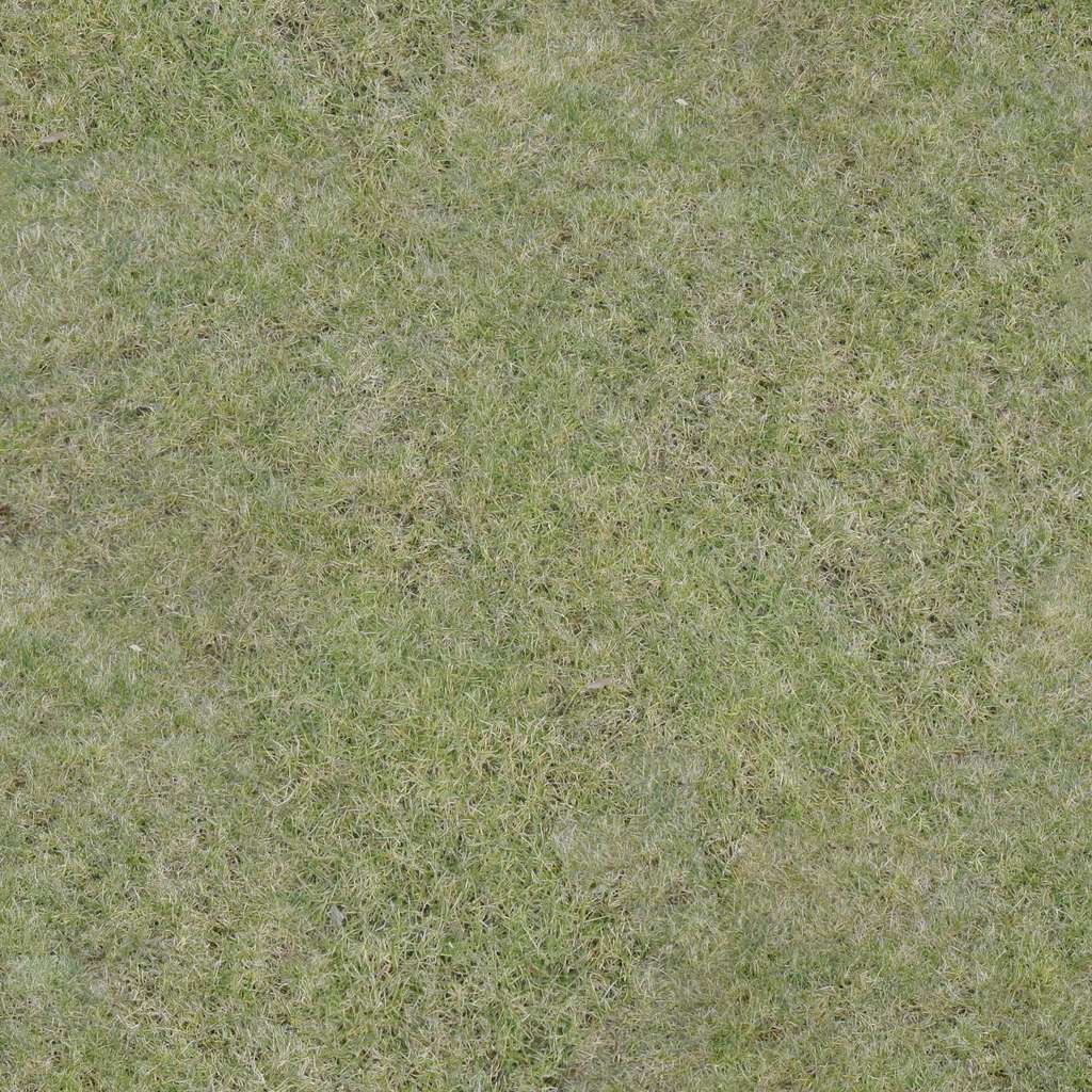 Grass_A_Diff.jpg